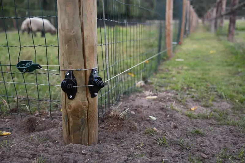Wolf Fencing Team krijgt meer dan 100 aanvragen: "Al 170 veehouders slapen weer op beide oren"