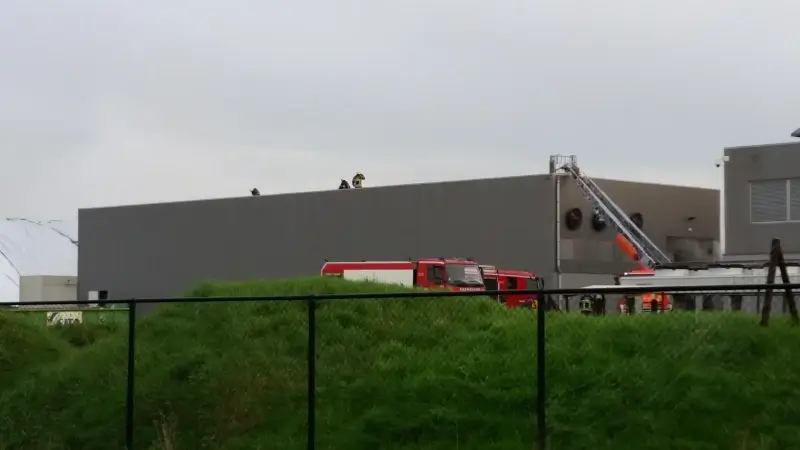 Felle brand bij Biopower in Tongeren