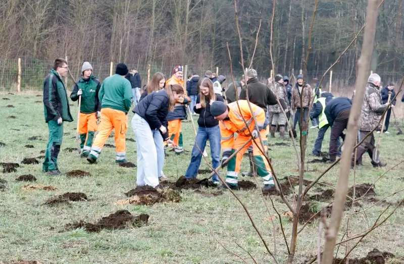 Leerlingen WICO scholengroep planten 650 bomen in Pelt