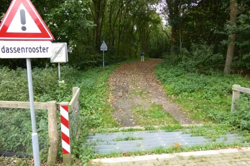 Borgloon plaatst rasters langs de N76 om de das te beschermen