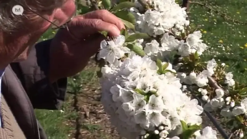 Bourgeois geeft voorrang aan reeds ingediende rampdossiers fruittelers