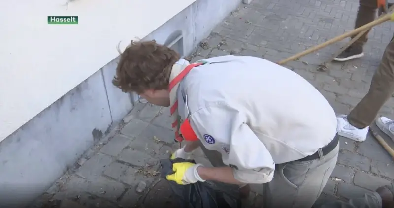 Hasselt verkleint percelen voor onkruidbeheer door verenigingen
