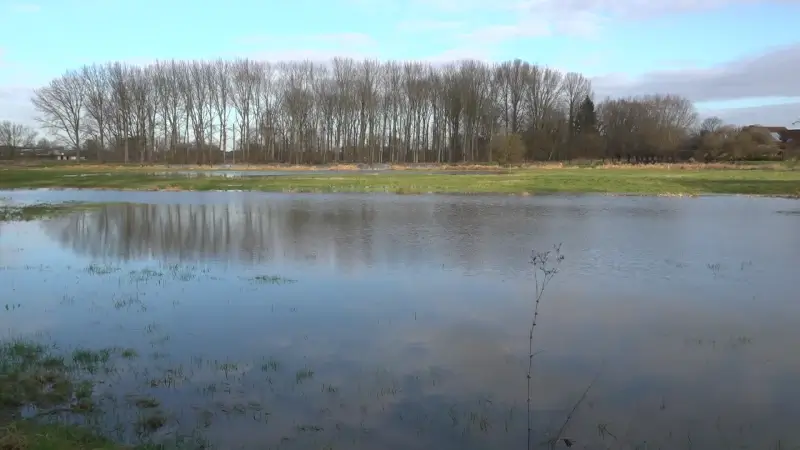 Grondwaterstanden op normaal peil voor de tijd van het jaar
