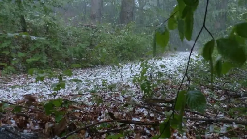 Kans op hagel en onweersbuien na zwoele temperaturen