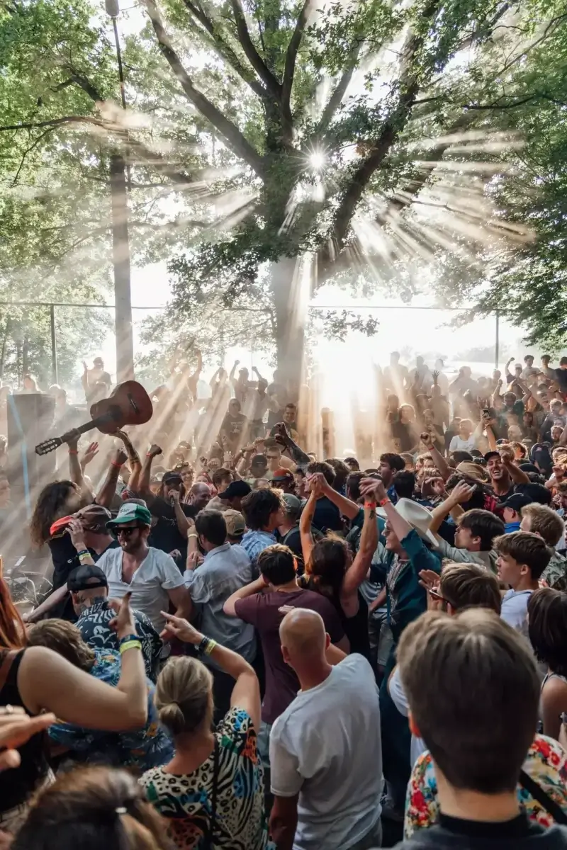 Line-up Rock Herk compleet