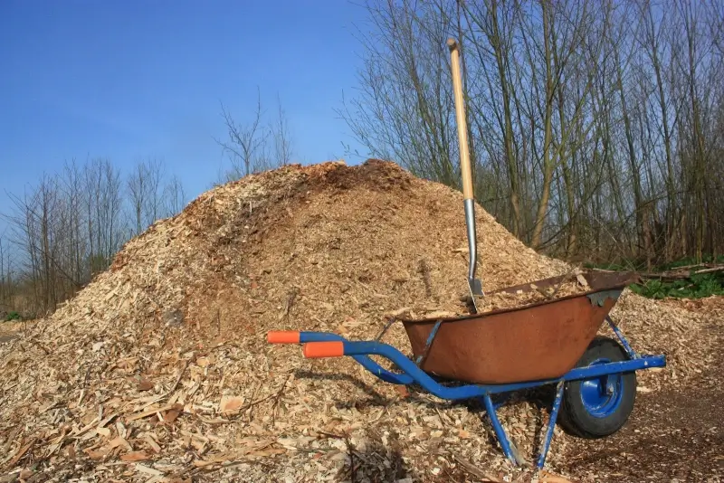 Primeur: Bocholt heeft eerste warmtenet op houtsnippers
