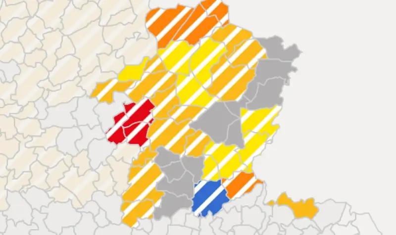 Zo werd er gestemd in jouw gemeente