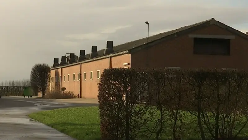 Geen vergunning voor kippenstal met 180.000 kippen in Borgloon