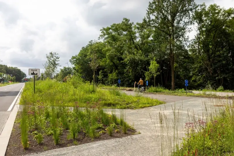 Stad Genk krijgt eerste ‘Wisselboom’ voor inspanningen op vlak van vergroening