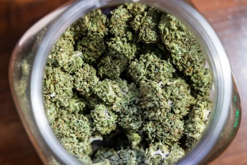 FGP Limburg onderschept 320 kg marihuana