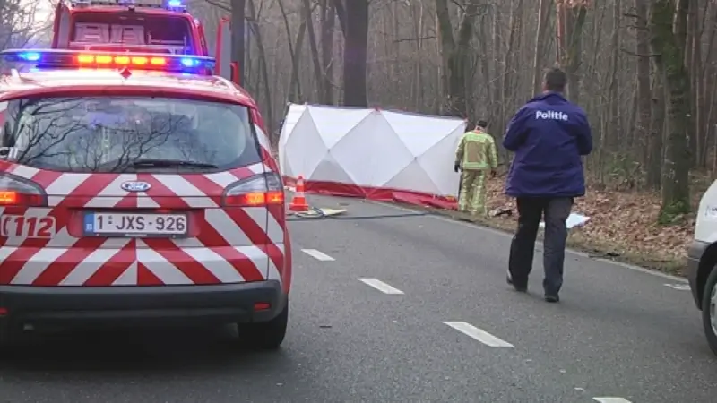 Man overleden na klap tegen boom in Genk