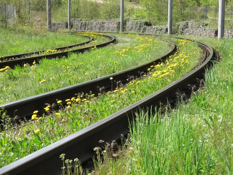 Speciale trein sproeit jaarlijks honderdduizenden liters pesticiden in de lucht