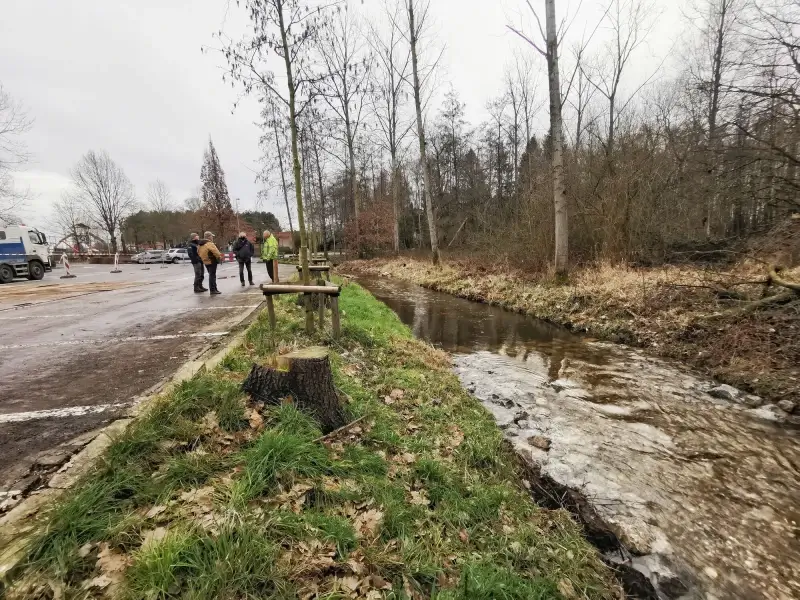 Paairiffels moeten voortplanting van vissen in Pelt vooruit helpen