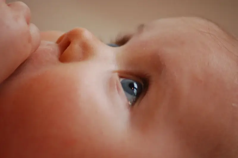 Lucas en Olivia populairste voornamen in Limburg in 2021