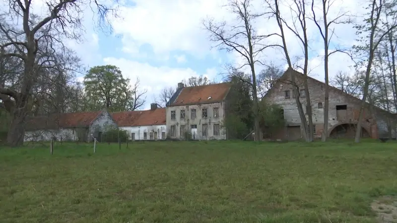 Herstellingswerken aan boomgaard Hobos in Pelt