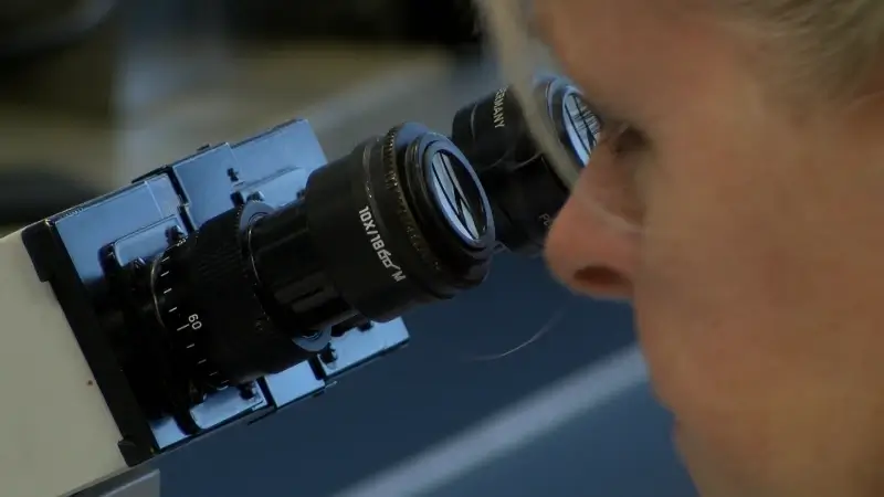 Aantal nieuwe coronabesmettingen stabiliseert