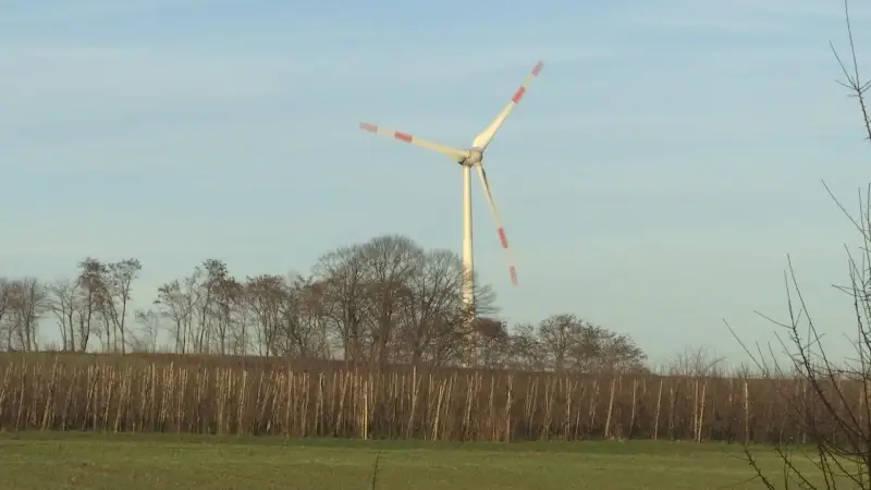Ministers Demir en Diependaele in beroep tegen windmolens op grens met Voeren
