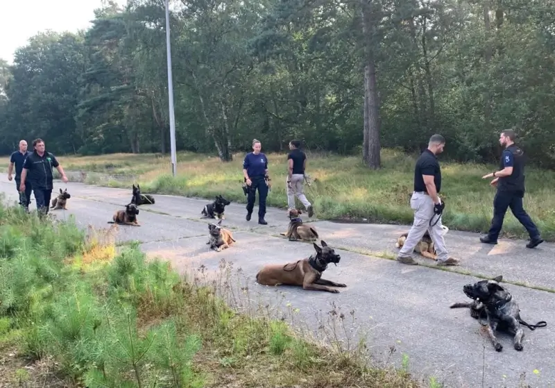 PLOT organiseert groepstraining met hondenteams van Amerikaanse & Limburgse Politie