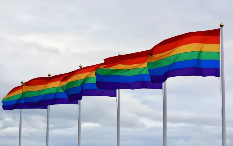 Ook Hasseltse gebouwen gehuld in regenboogkleuren