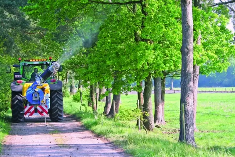 Overpelt start met verdelging processierupsen