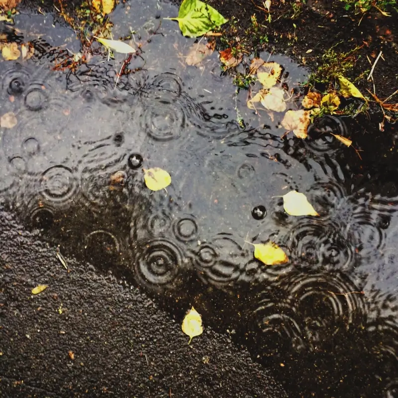 Even gedaan met mooi weer: dagenlang wisselvallig en regenachtig
