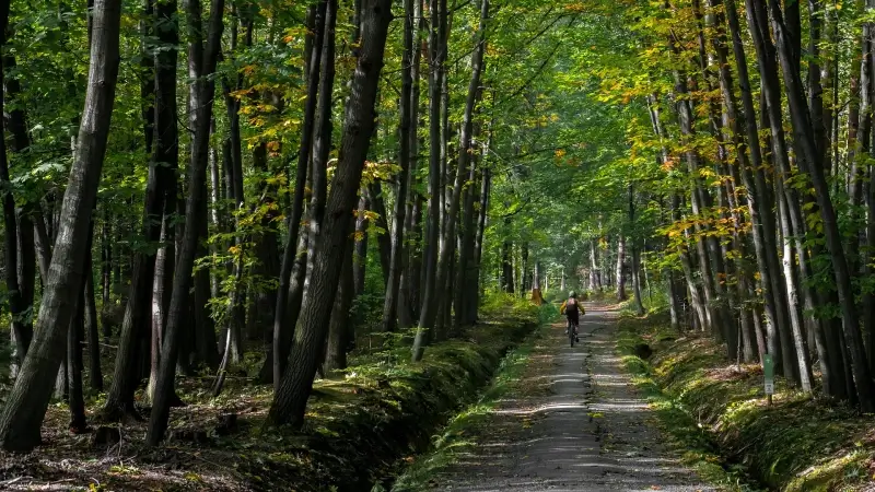 Politie pakt 'wildcrossers' in bossen hard aan