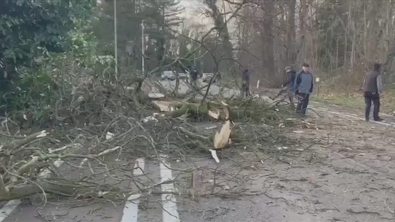 Eunice raast door Limburg: wat te doen voor/tijdens en na een storm?