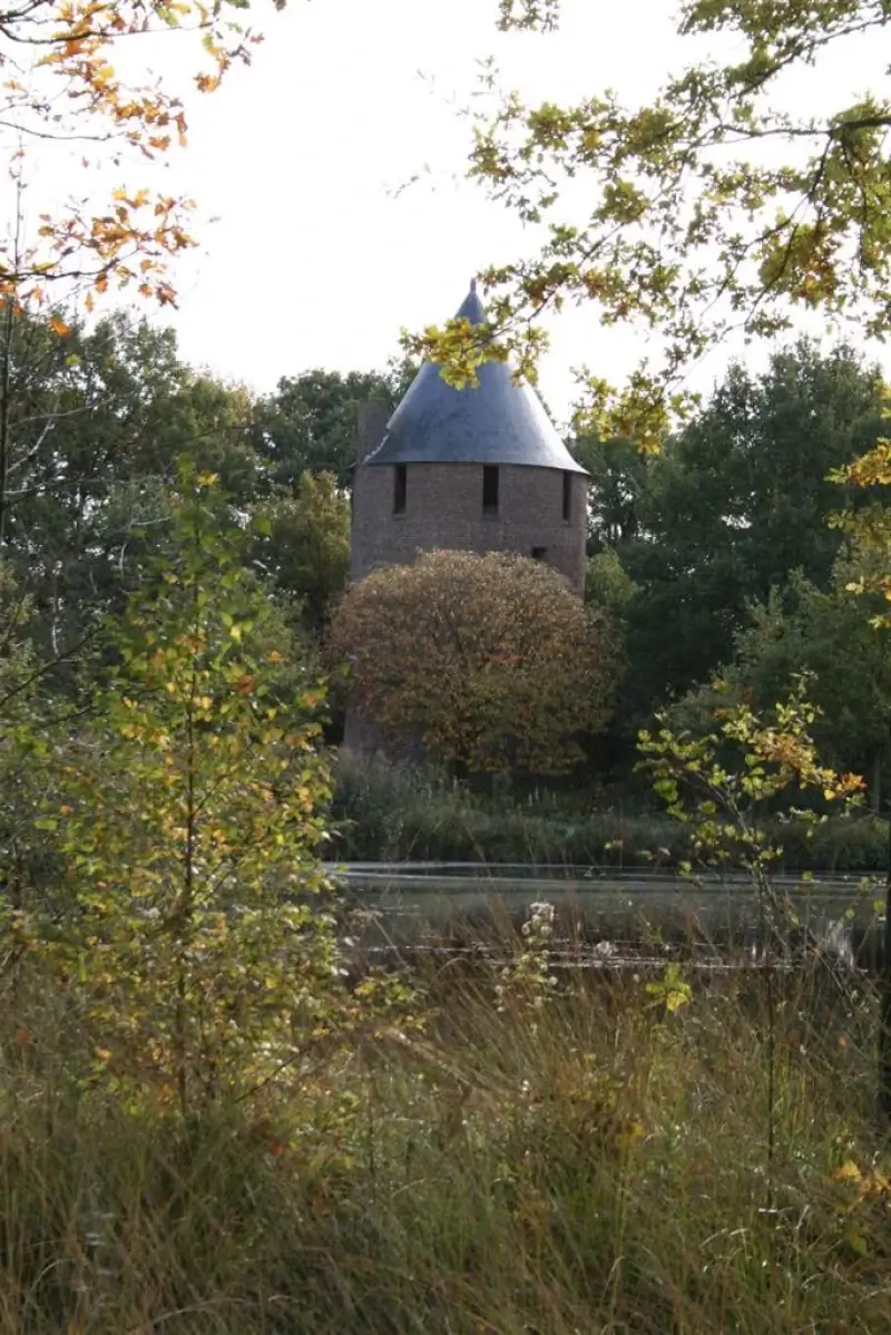 Ruïnes van de waterburcht van Grevenbroek erkend als archeologische site