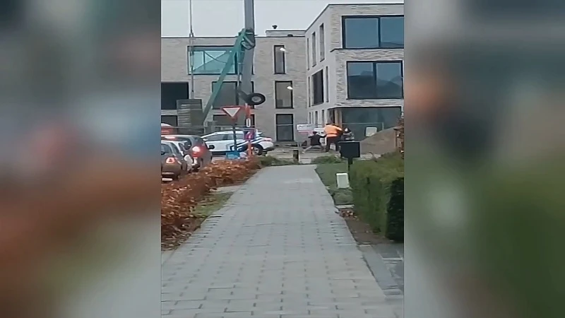 Schokkende beelden tonen hoe 12-jarige wijkagent in Peer neersteekt
