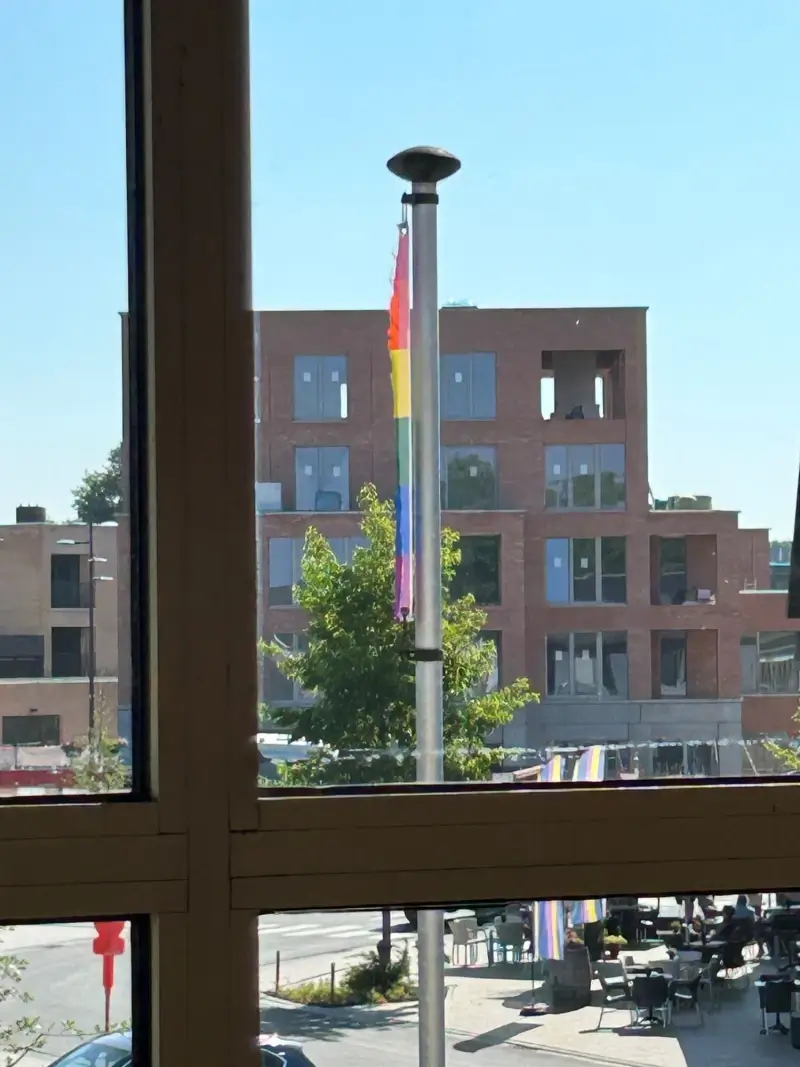 Onbekenden vernielen regenboogvlag in Zonhoven