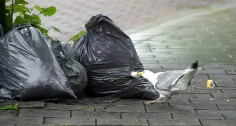 Wanneer wordt het huisvuil dat bij u is blijven staan opgehaald?