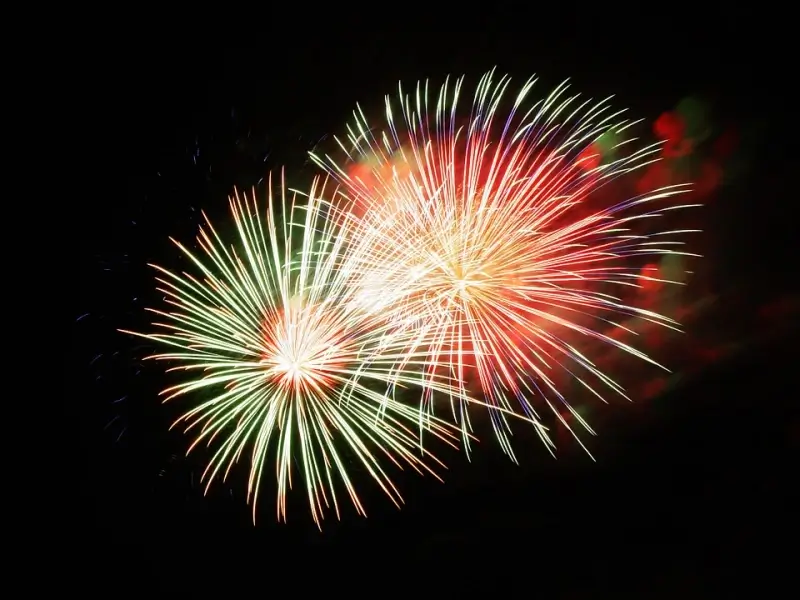 Bescherm je huisdier tegen vuurwerk