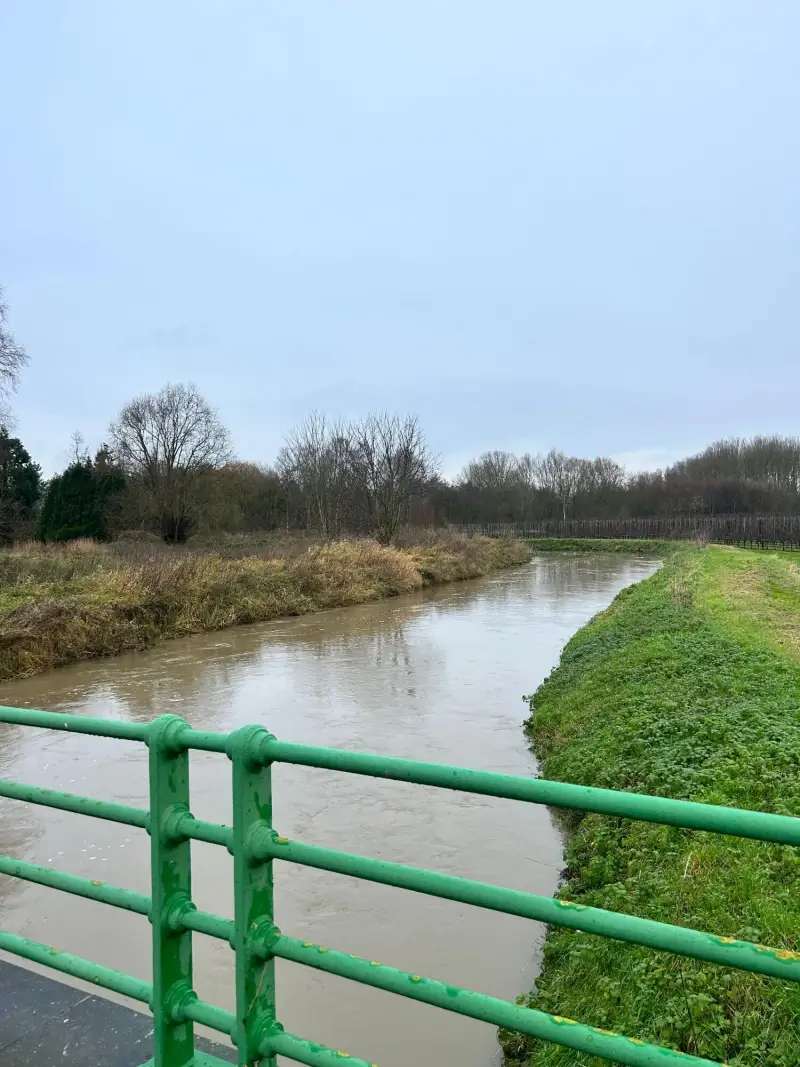 Weilanden in Limburg staan onder water door hevige regenval