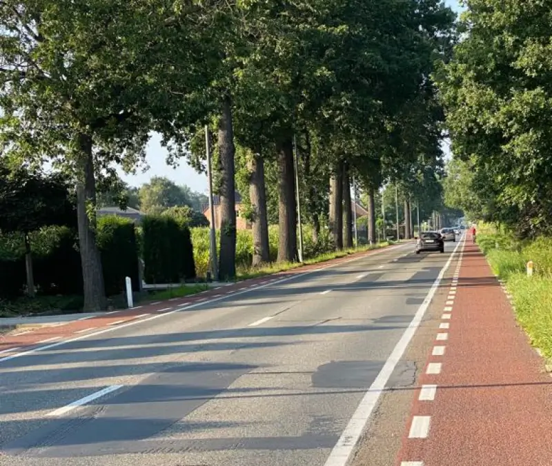 Asfalt Weertersteenweg in Kinrooi wordt vernieuwd