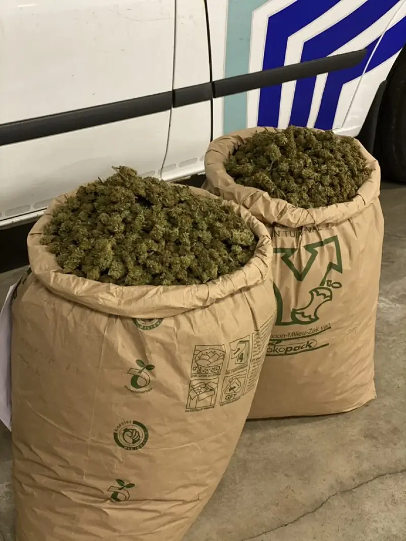 Acht arrestaties bij grote drugsactie in Houthalen
