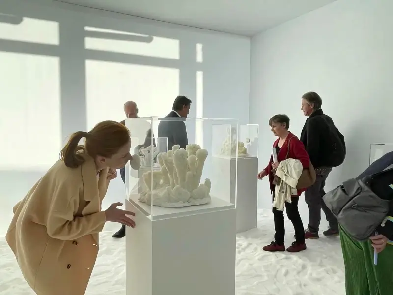 Geurkunstenaar Peter de Cupere wint met 'Salt Flowers' prestigieuze prijs in Los Angeles