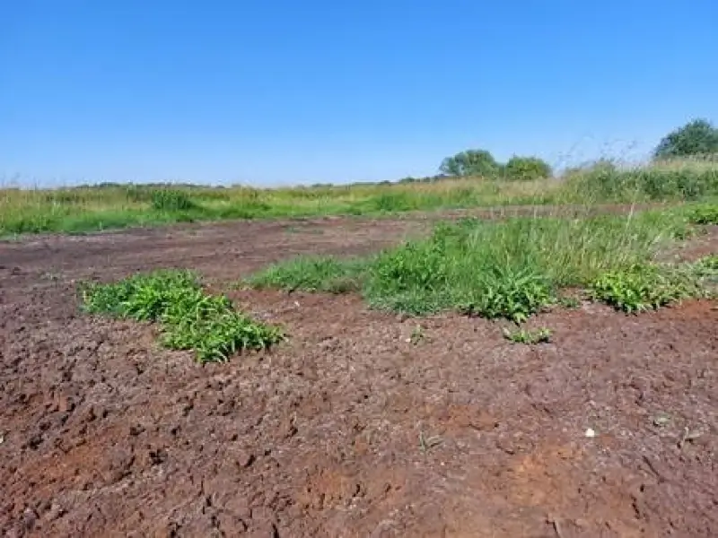 Natuurpunt: "Vallei Zwarte Beek verdroogt door sabotage lokale waterbeheerder"